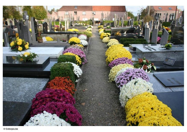 Foto fiori al cimitero