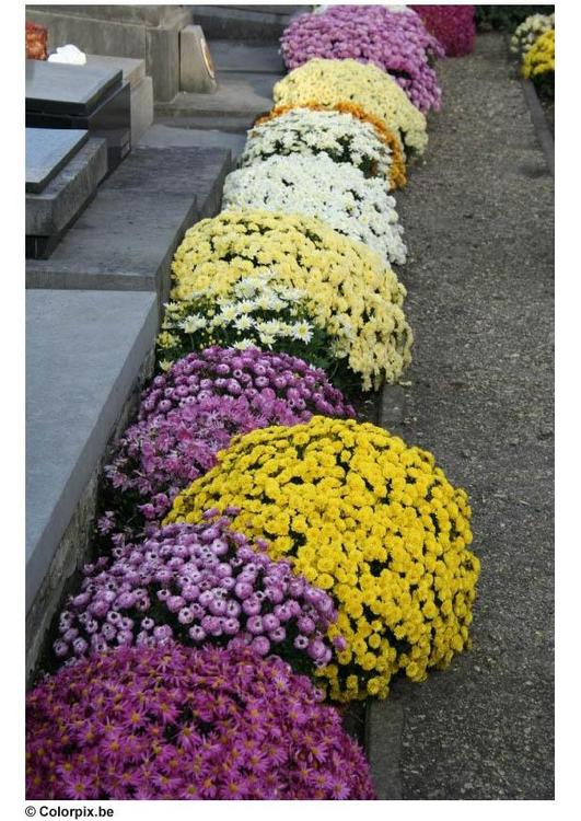 fiori al cimitero