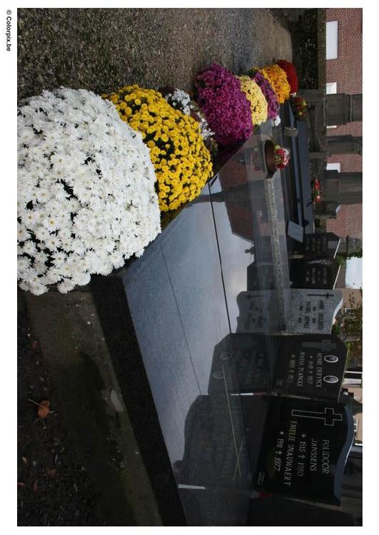 fiori al cimitero