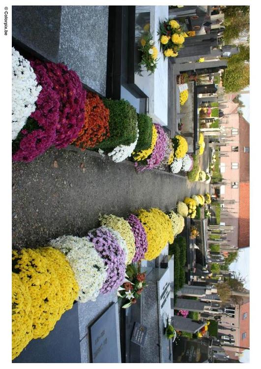 fiori al cimitero