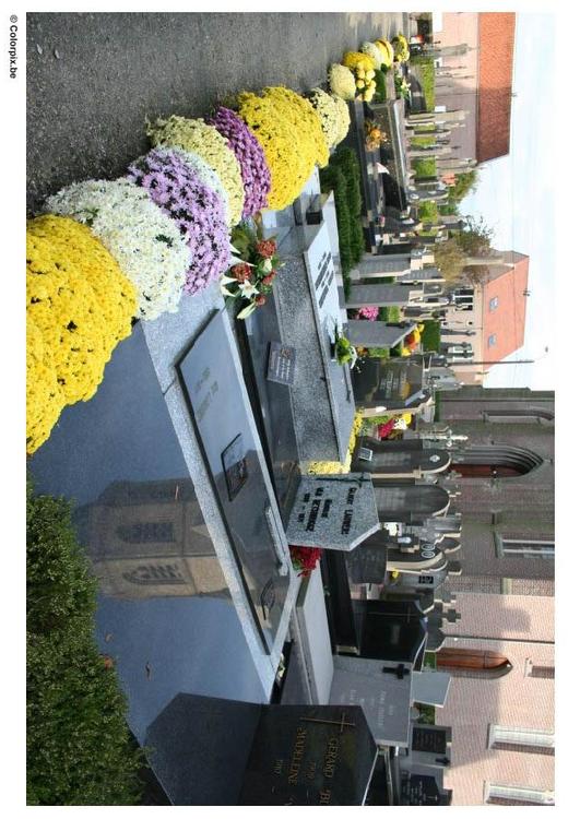 fiori al cimitero