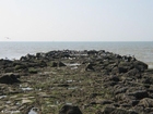fotografia frangionde 3