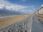 Foto gabbiani sulla spiaggia