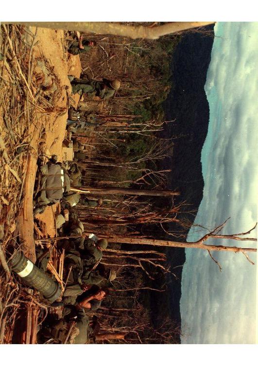 Guerra Vietnam - campo battaglia 530