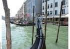 in gondola a Venezia