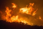 Foto incendi boschivi