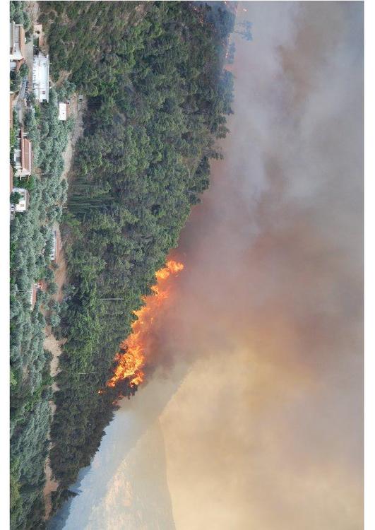 incendio forestale