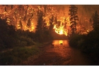 Foto incendio forestale