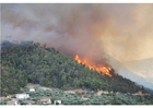 Foto incendio forestale