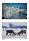 inverno 3