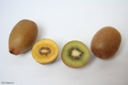 kiwi gialli e kiwi verdi