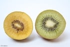 kiwi giallo e kiwi verde