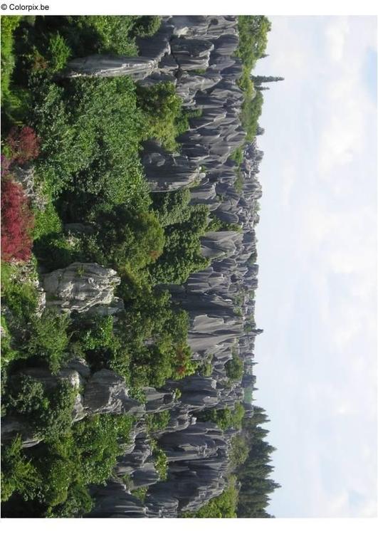 la foresta pietrificata, Kunming