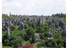 Foto la foresta pietrificata, Kunming