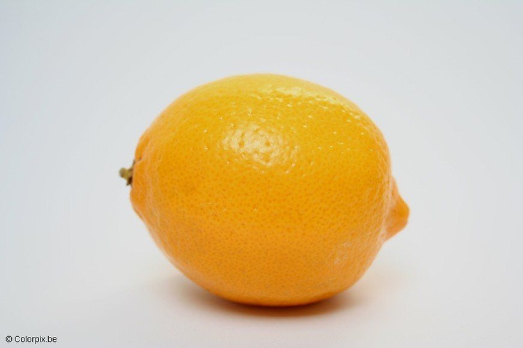 Foto limone