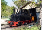 locomotiva