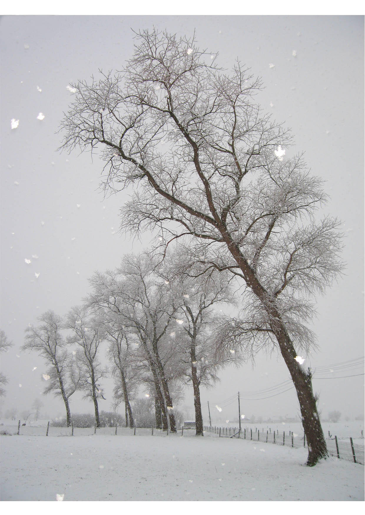 excellent scarica immagine grande with paesaggi invernali disegni