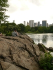 Foto New York - Central Park