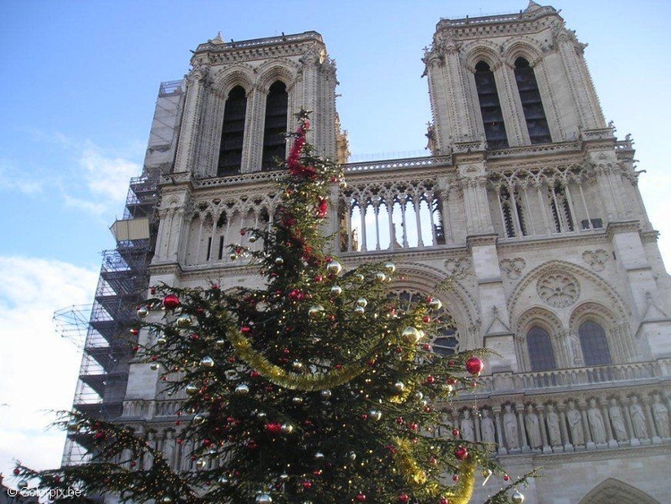 Foto Notre-Dame Parigi a Natale