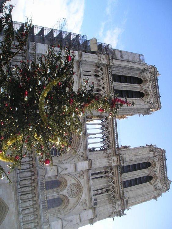 Notre-Dame Parigi a Natale