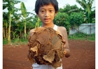 pallone da calcio