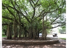 Foto Parco Puna, museo Ghandi