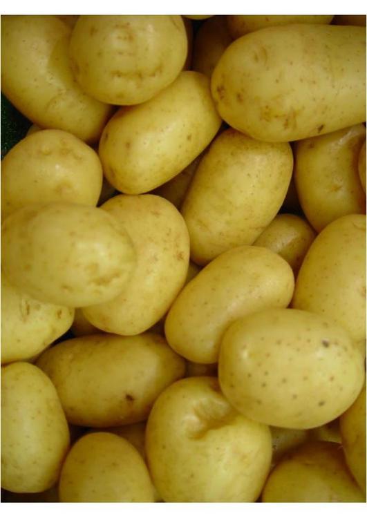 patate