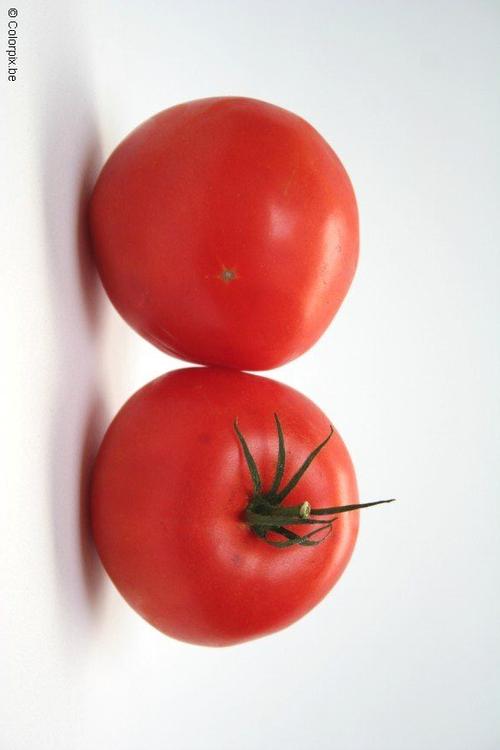 pomodori