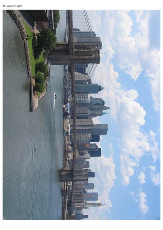 Ponte di Brooklyn