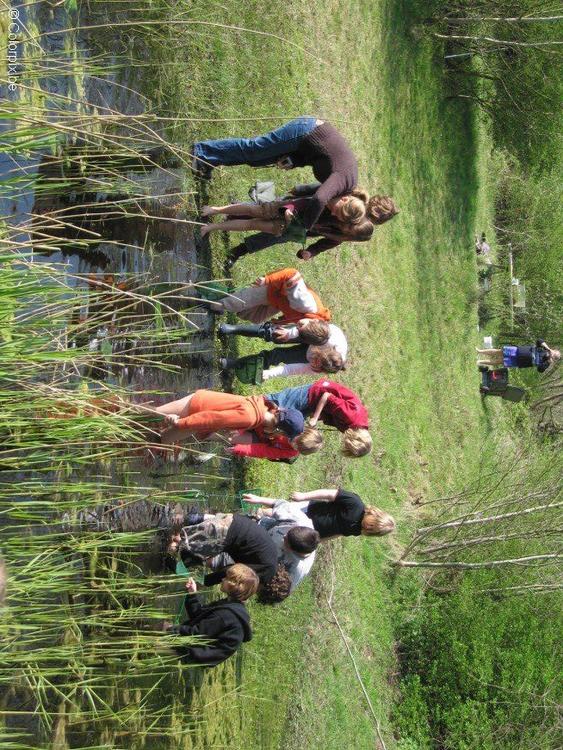 ricerca nel lago