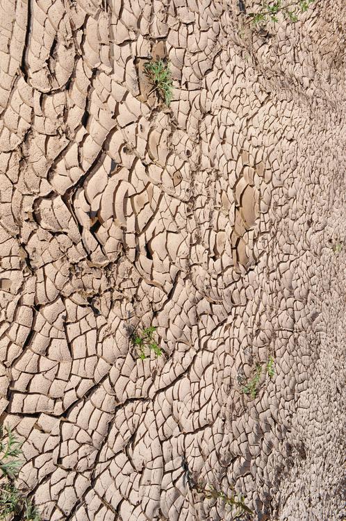 riscaldamento globale