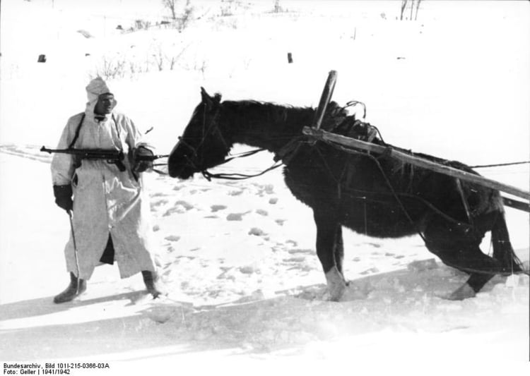 Foto Russia - soldato con cavallo in inverno