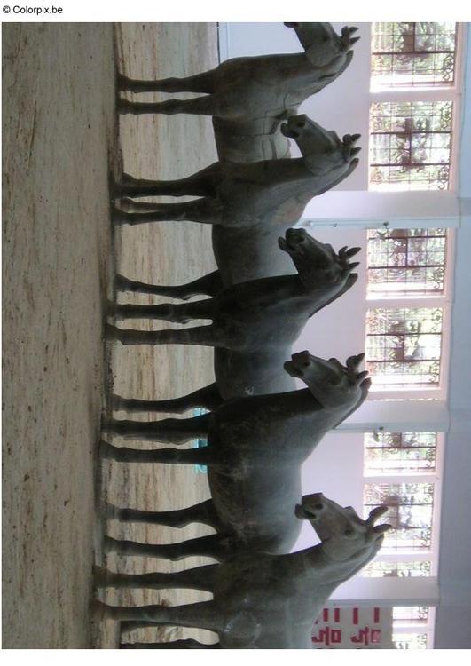 statue cavalli, Xian