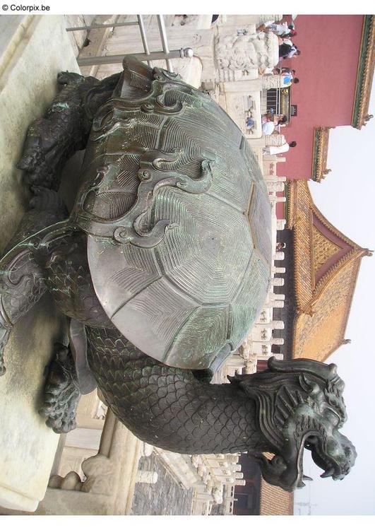 tartaruga