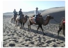 Foto trekking nel desert sul cammello