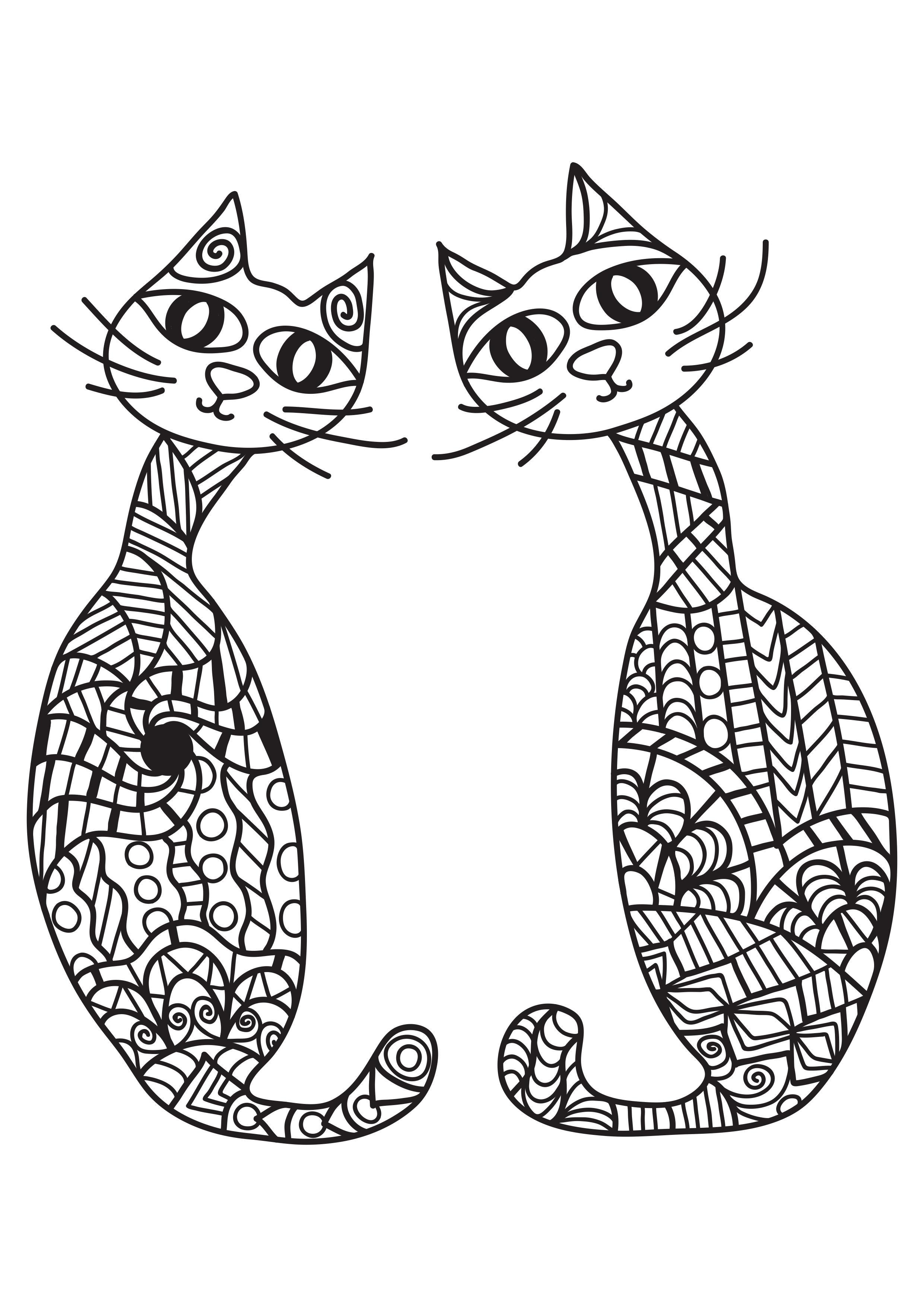 2 gatti Disegno da colorare 2 gatti