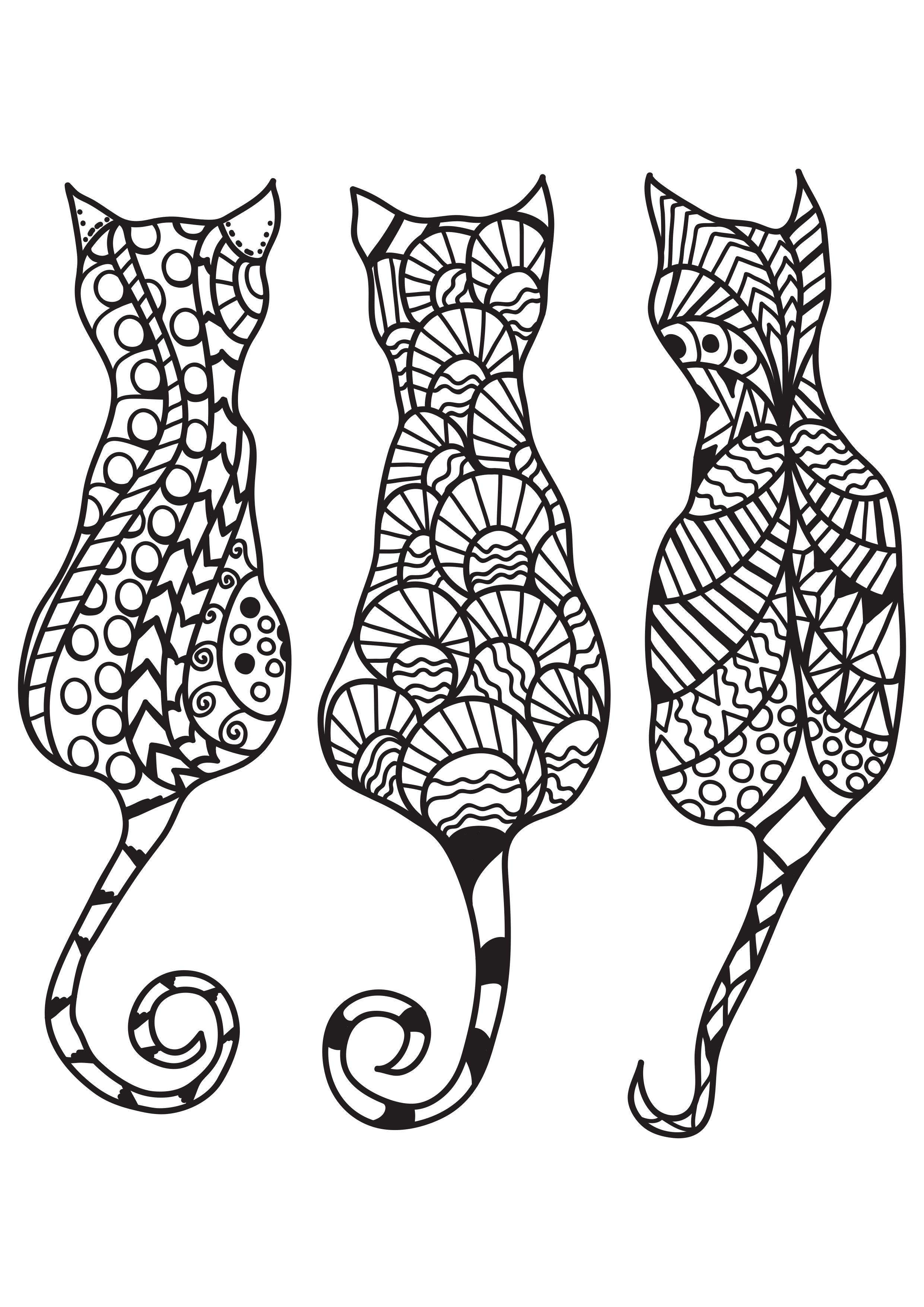 3 gatti Disegno da colorare 3 gatti