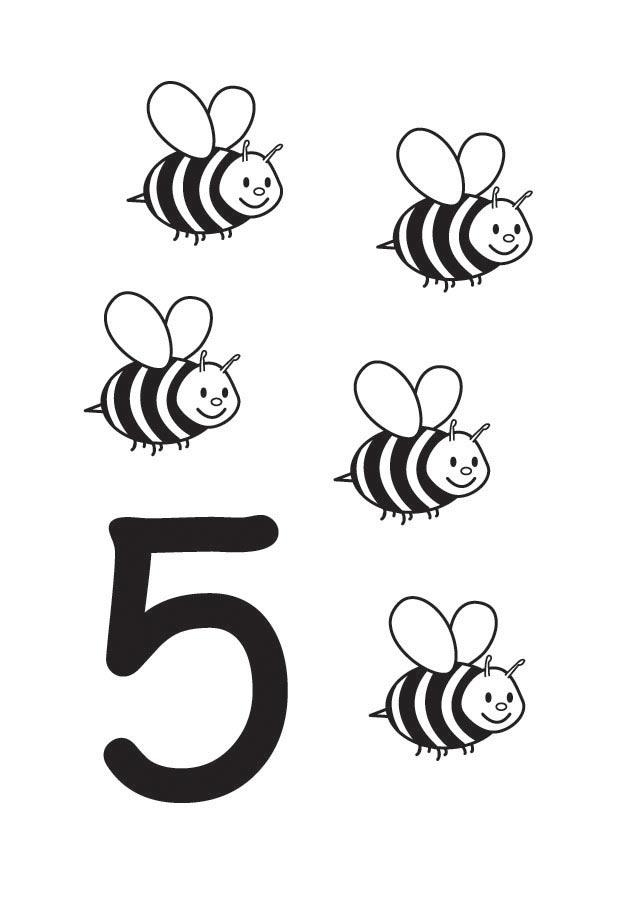 5 Disegno da colorare 5