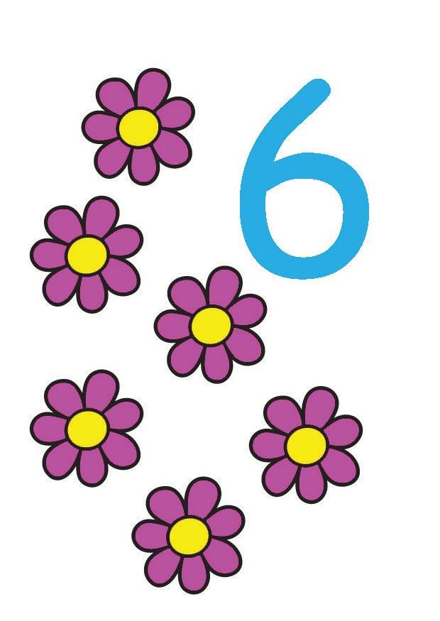 6 immagine 6