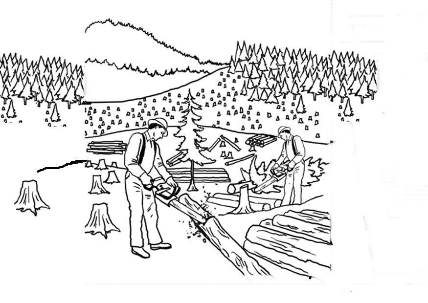 abbattimento degli alberi Disegno da colorare abbattimento degli alberi