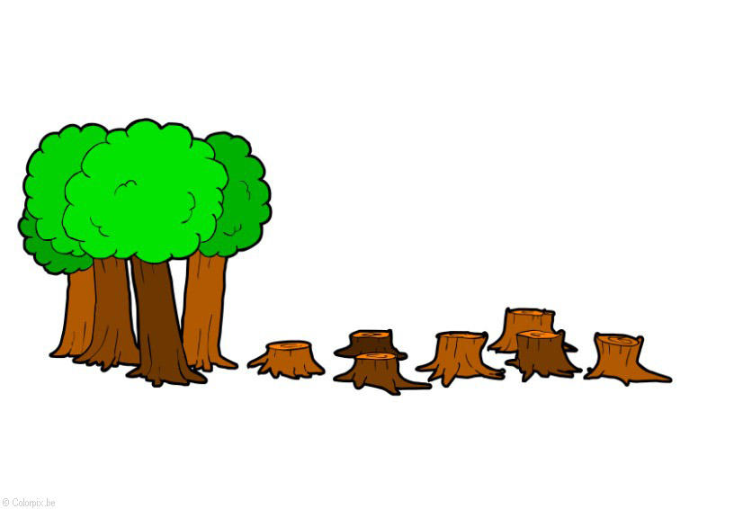 abbattimento degli alberi immagine abbattimento degli alberi