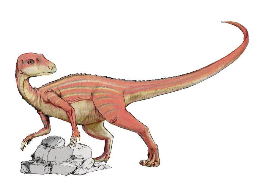abrictosauro immagine abrictosauro