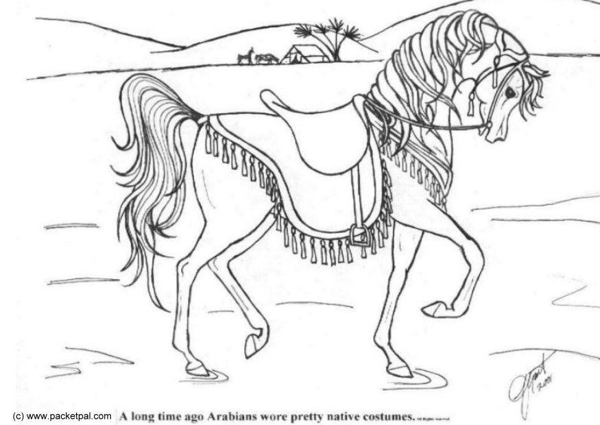addestramento Disegno da colorare addestramento