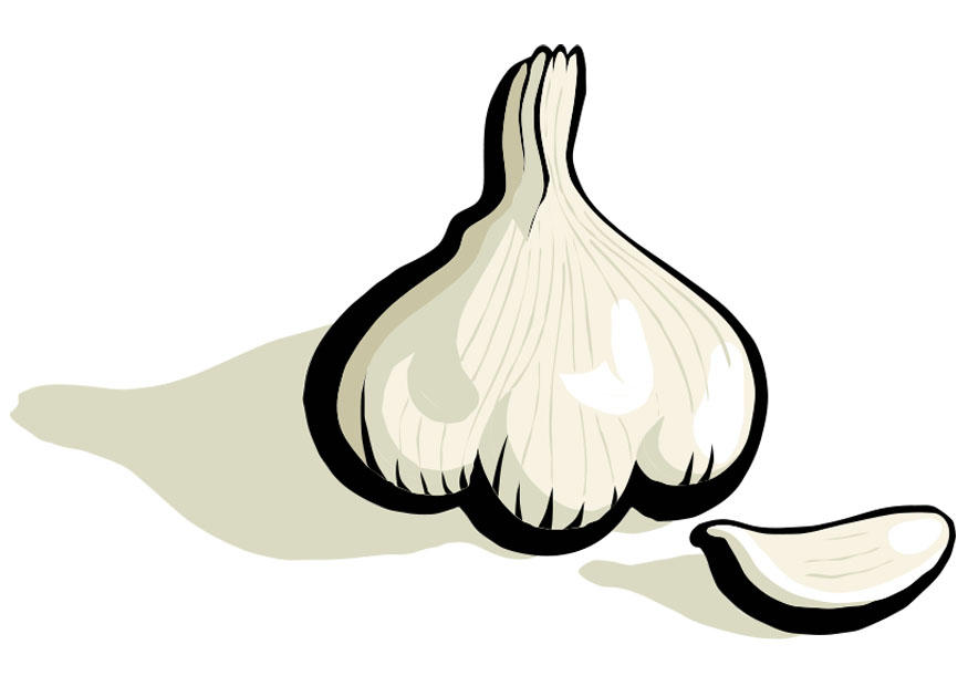 aglio immagine aglio