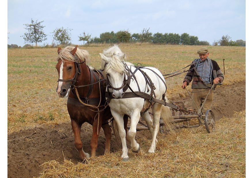 agricoltore Foto agricoltore