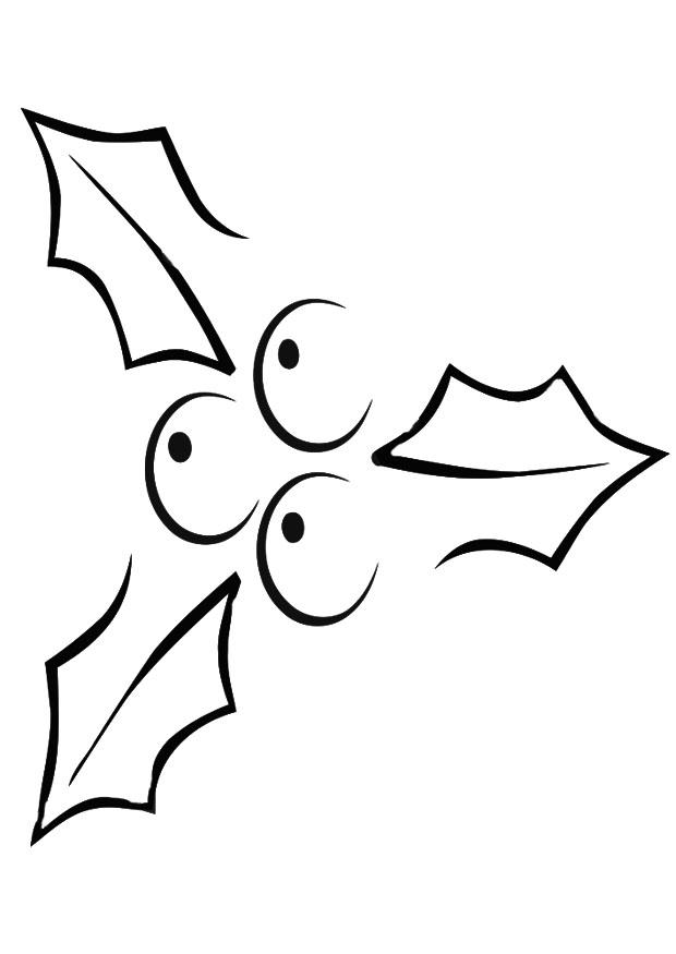 agrifoglio Disegno da colorare agrifoglio