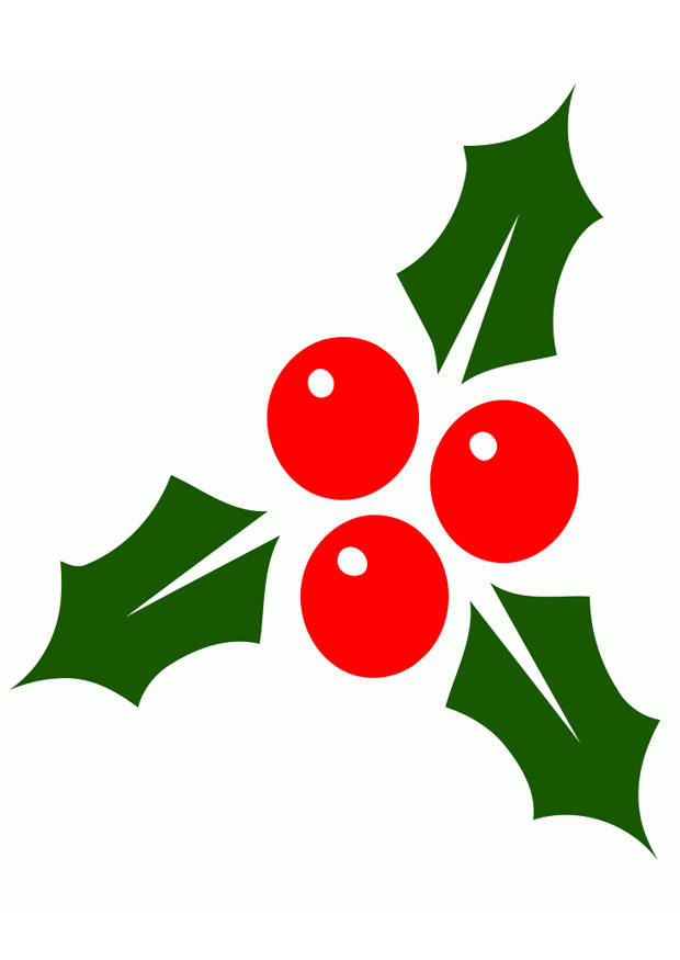 agrifoglio immagine agrifoglio