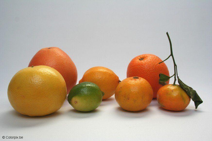 agrumi Foto agrumi