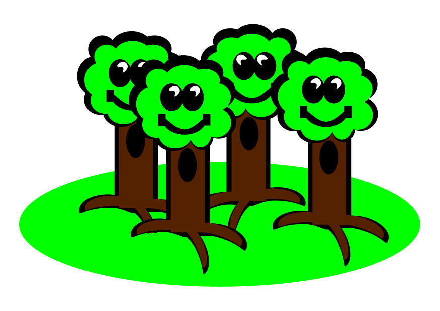 alberi immagine alberi
