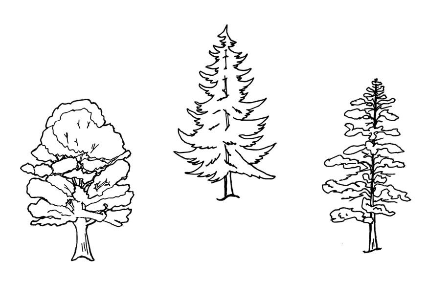 alberi Disegno da colorare alberi